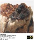 Psilomelan - Granit-Steinbruch Trieb bei Bergen im Vogtland, Sachsen, (D) - Slg. D.Neumann BNr. 02397.JPG